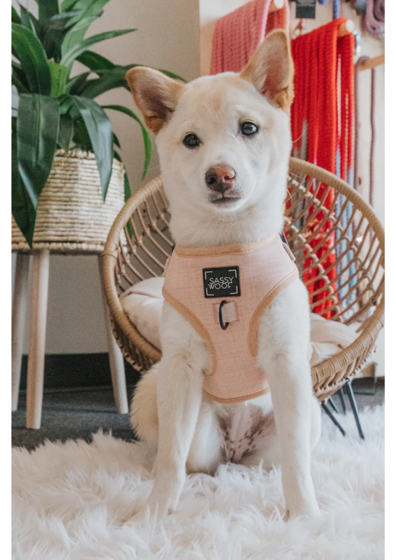 Minimalist sales dog harness